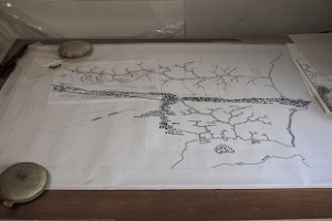 resized_master-map-6-20-2010